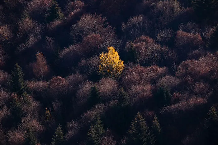When The Colors Leave By Martin Babarík