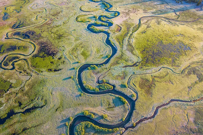 Sparks Marsh By Taylor Duncan