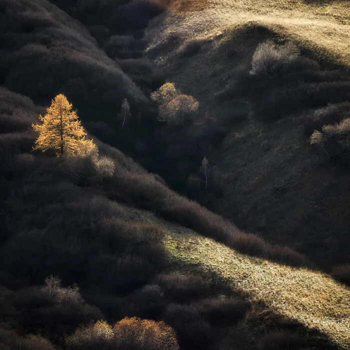 Shine By Petros Nikolaidis