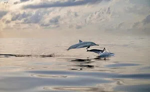 20 Nature Photos That Stole The Spotlight At The 2025 Fine Art Photography Awards