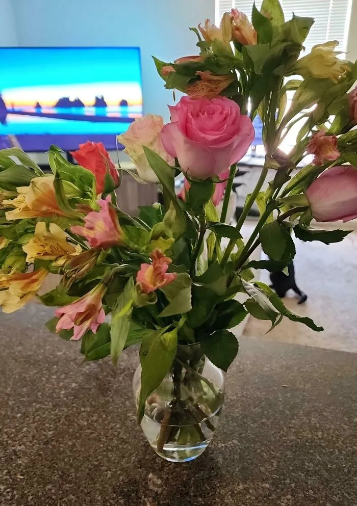 Soy un hombre de 30 años. Una chica con la que llevo hablando varios meses me envió flores hoy a casa. Lloré.