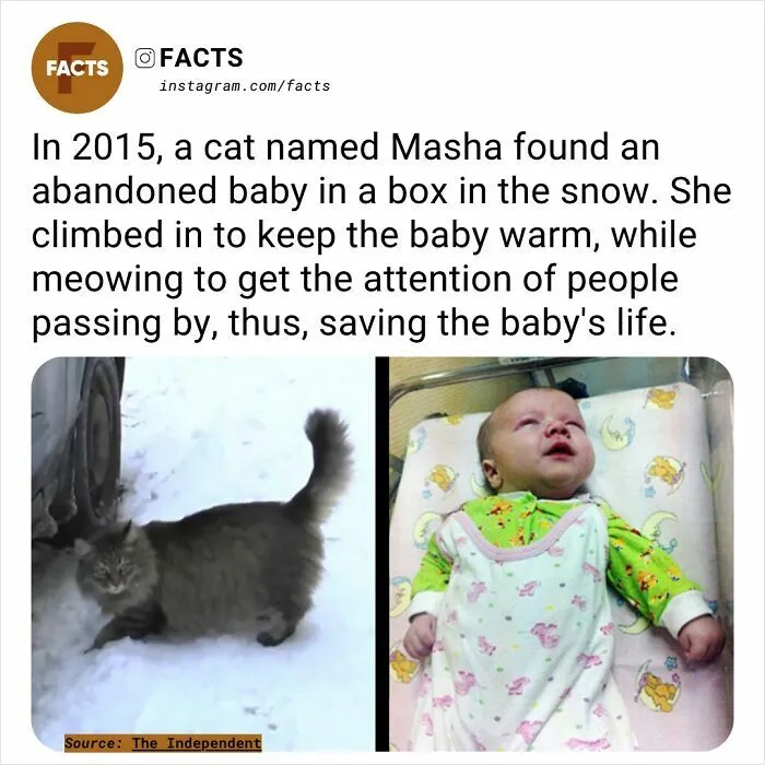 50 Of The Most Interesting And Fascinating Facts (New Pics)