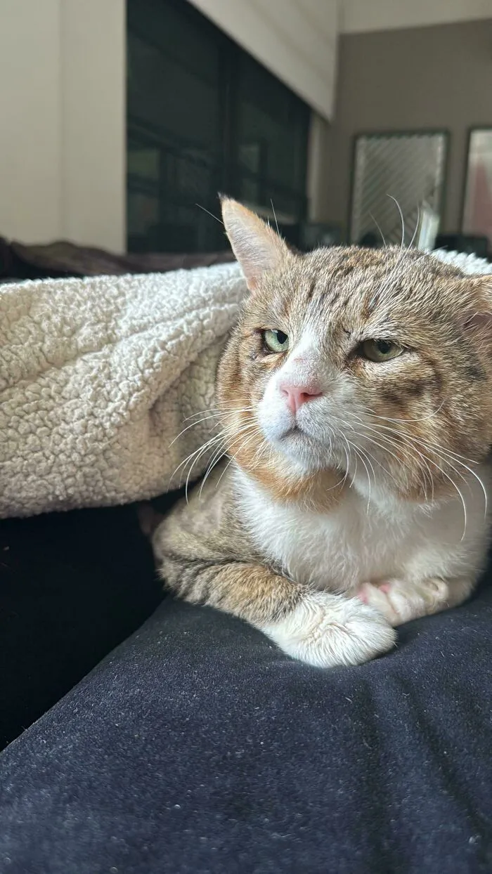 Newly Adopted!