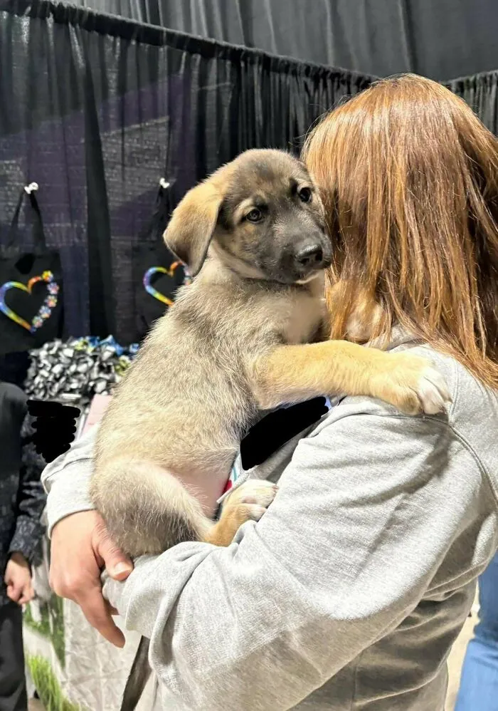 A person holding an adorable puppy at an animal adoption event, inspiring pet adoption.