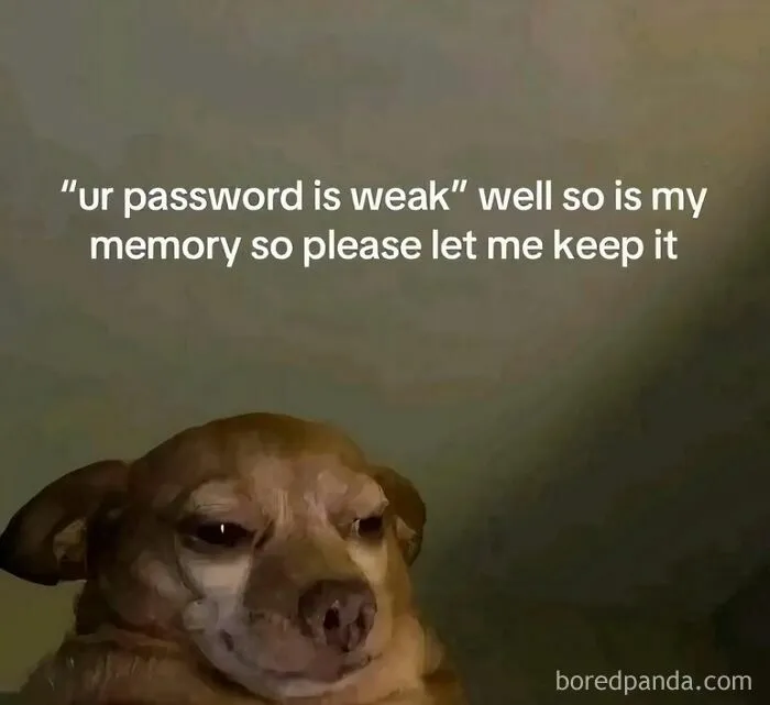 50 Memes To Help You Cope With Reality With Humor