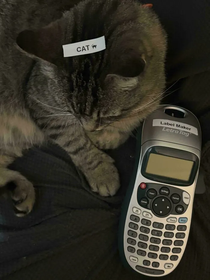 I Got A Label Maker