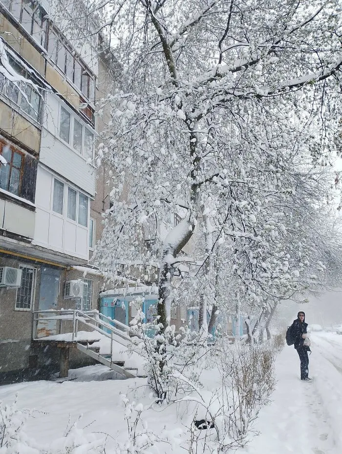 It's Snowing Today
