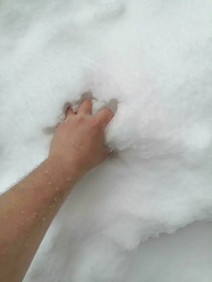 Hand reaching into soft white snow in a simple, unremarkable photo that is surprisingly entertaining to see