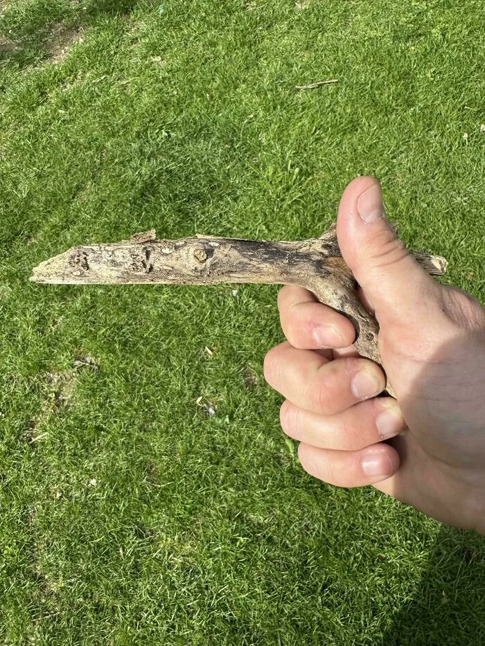 Hand holding an unremarkable stick shaped like a gun against a green grass background in a funny photo.