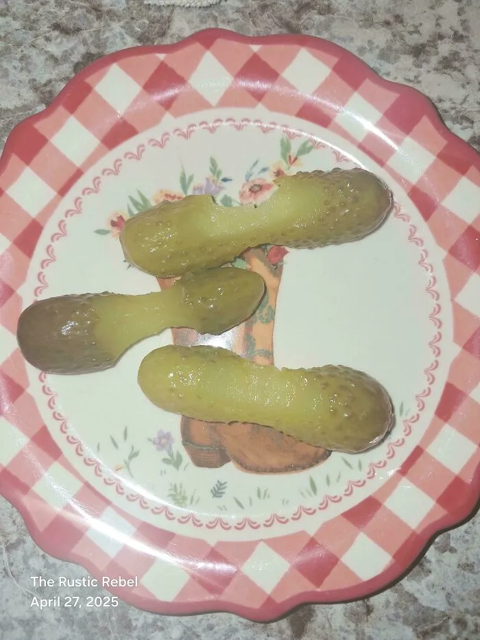 Three oddly shaped pickles on a decorative plate, showcasing one of the completely unremarkable photos entertaining viewers.