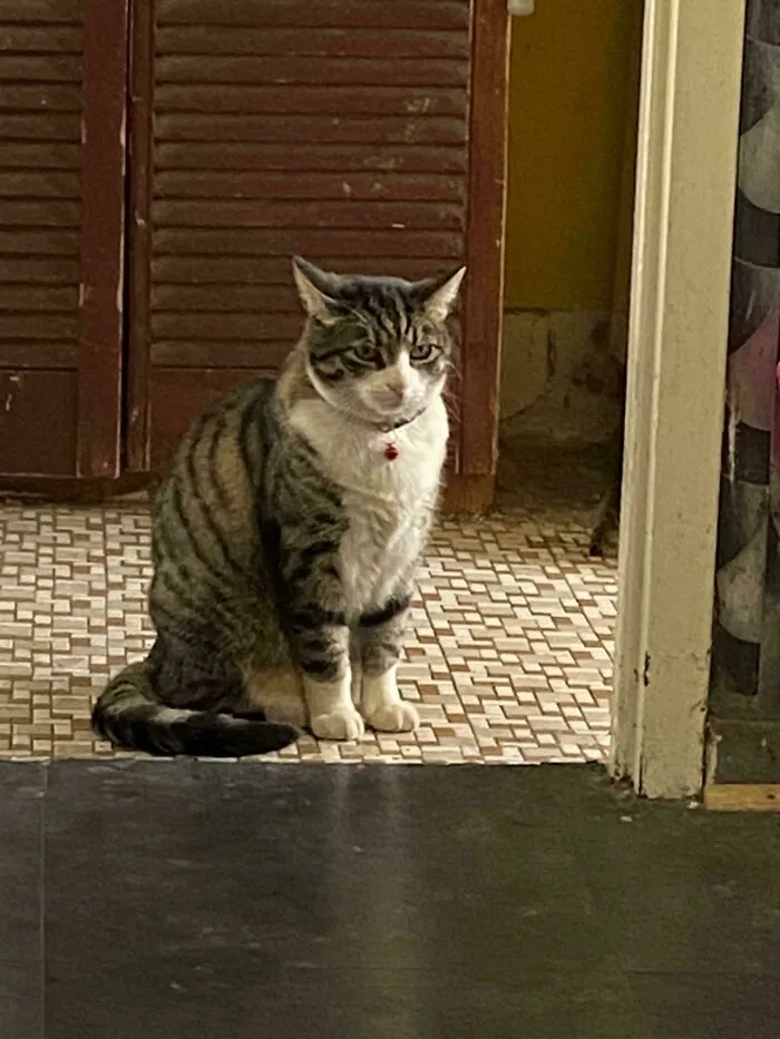 He Judging You