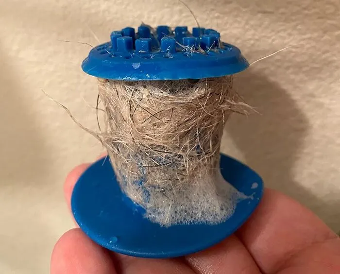 Clogged hair trap full of tangled hair and soap residue held in a blue plastic holder, showing cleaning challenges Wednesday.