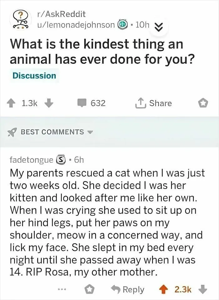 This FB Page Is Spreading Only Good Vibes And Here Are 50 Of Their Wholesome Memes