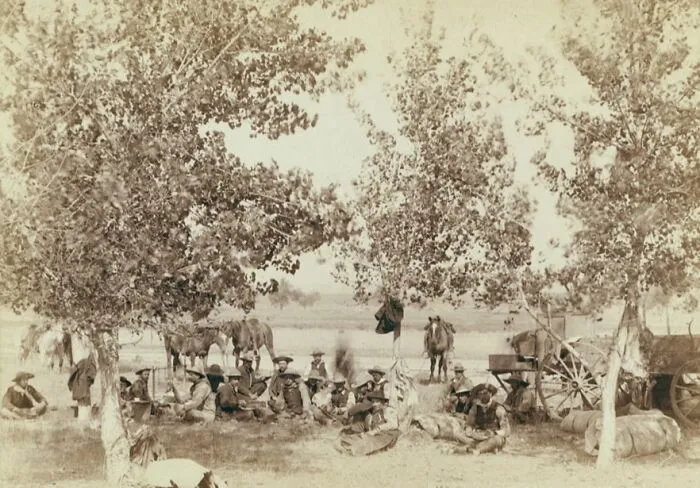 Dinner Scene