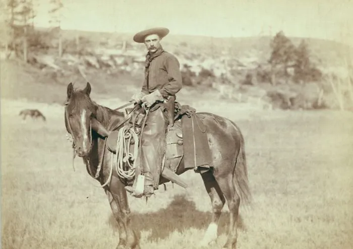 The Cow Boy