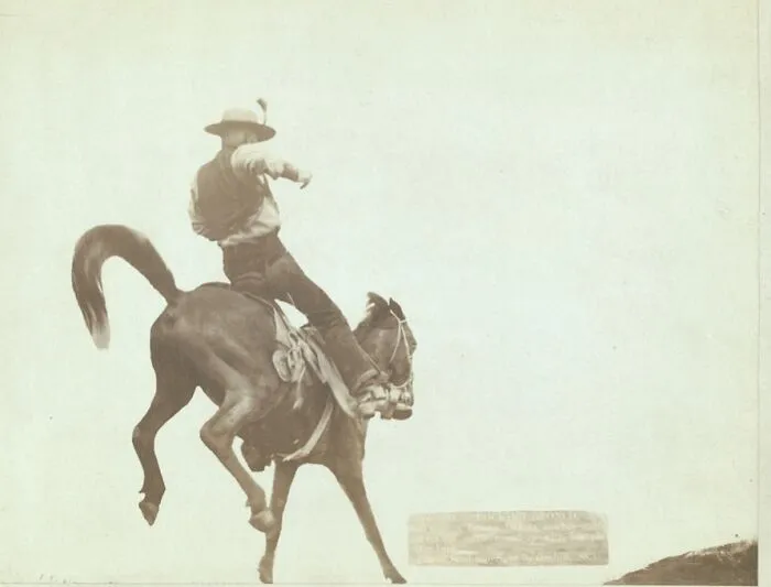 Ned Coy, A Famous Dakota Cowboy, Starts Out For The Cattle Round-Up With His Pet