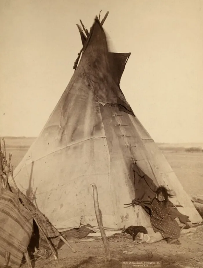 A Young Oglala Girl Sitting In Front Of A Tipi, With A Puppy Beside Her, Probably On Or Near Pine Ridge Reservation