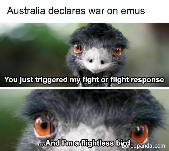 50 Memes That Make Us Laugh About How Ridiculous History Can Be