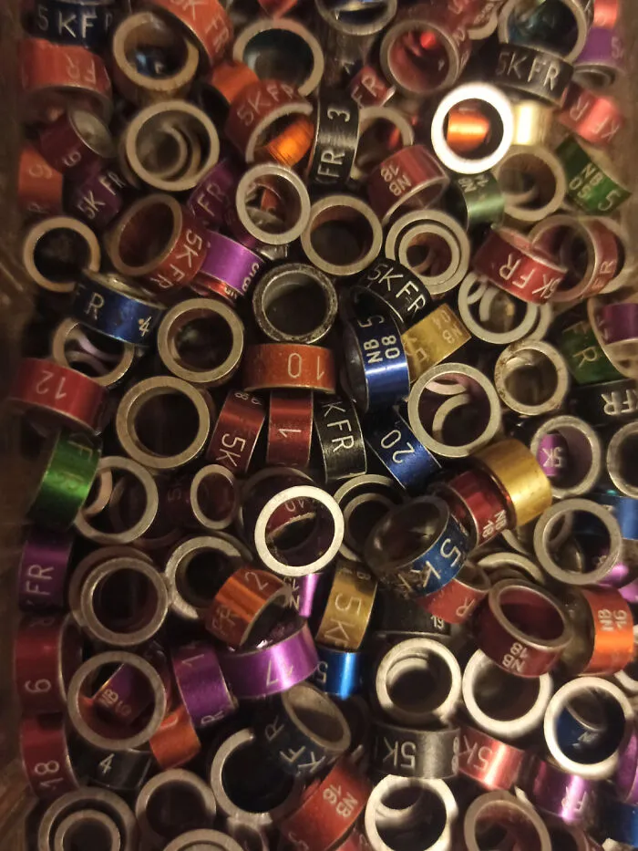 Anillos pequeños de diferentes tamaños y colores. Parecen de aluminio. Se encuentran en una caja con tornillos, clavos, etc.