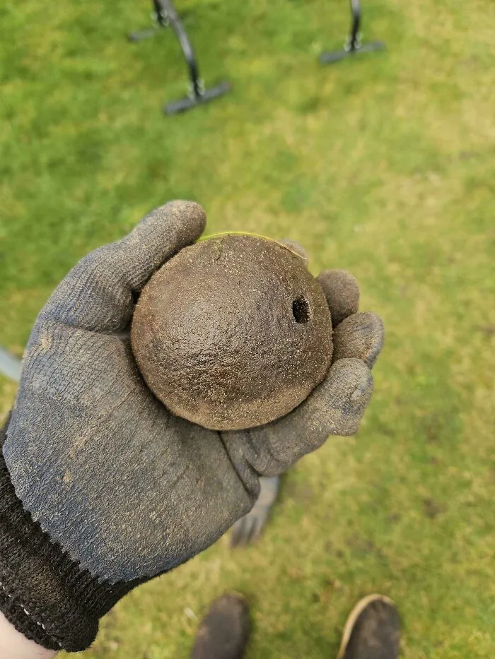 Una bola redonda de metal encontrada al excavar tiene un agujero en un lado y pesa fácilmente 3 kg.
