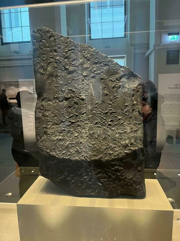 Piedra antigua expuesta en museo con textura rugosa y detalles curiosos para ver las cosas desde otra perspectiva.