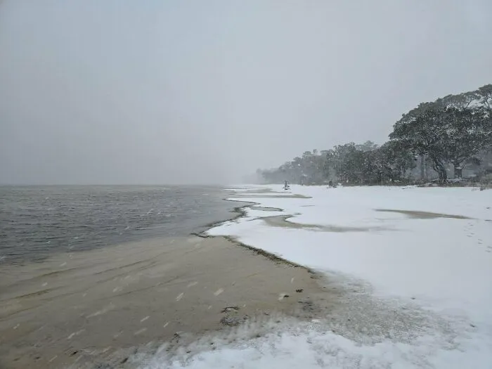 Playa cubierta de nieve con árboles en la costa en una escena curiosa que muestra otra perspectiva natural.