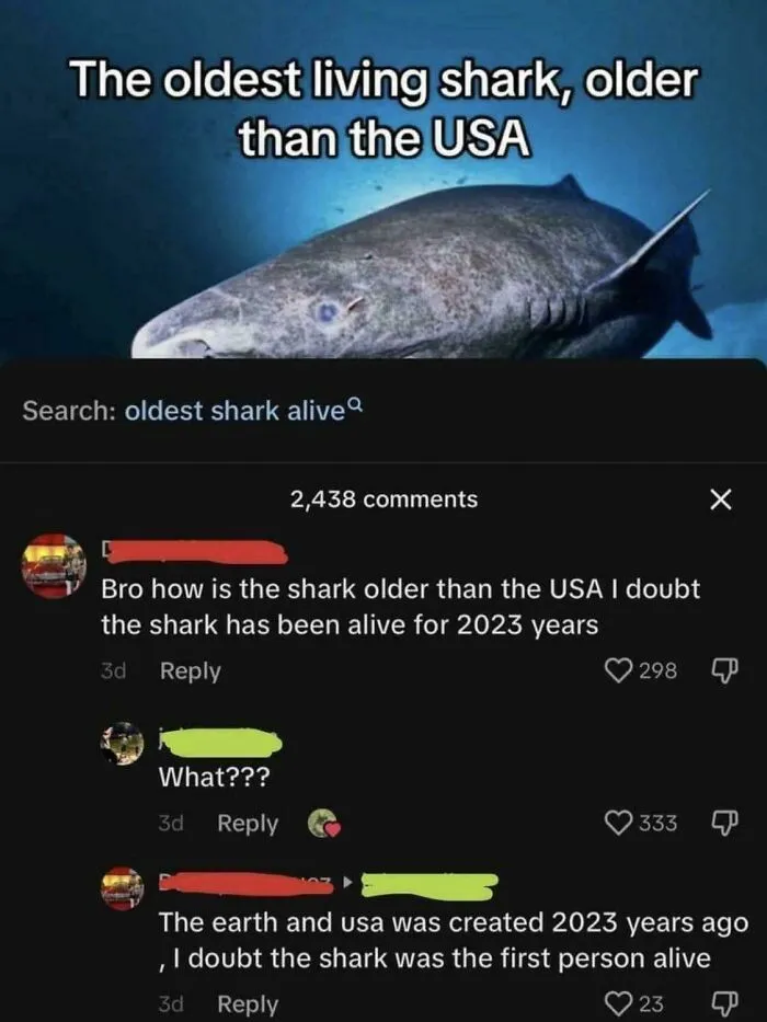 American Education System Be Like