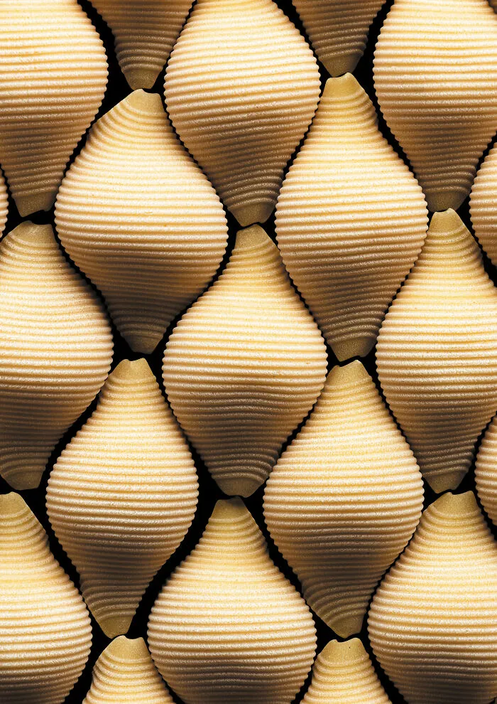 Cream Of The Crop: Pasta Shells By Federica Melania Orsini, United Kingdom
