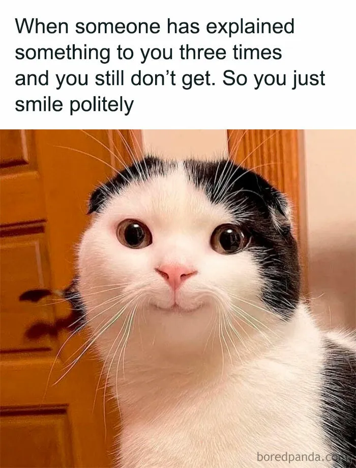 50 Funny Memes That Feel Like Putting On Lip Gloss While Plotting Revenge (New Pics)