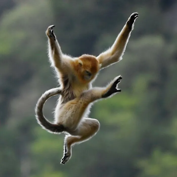 Photographer Captured 30 Captivating Images Depicting The Life Of Wild Animals