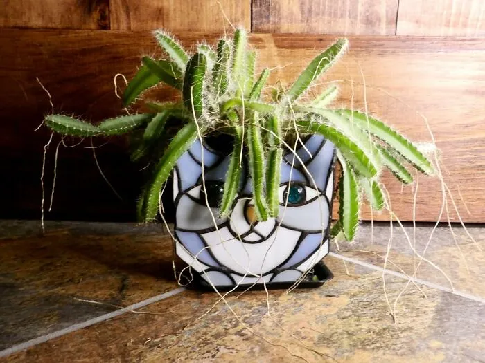 Combine Your Love Of Cats, Plants, And Pretty Light Reflections With A Totally Unique <a Style="Display:inline;" Href="Https://Www.amazon.com/Tiffany-Handmade-Stained-Container-Succulent/Dp/B0b2vzcgns?ie=utf8&th=1&linkcode=ll1&tag=bpbeaver-20&linkid=0da3a4a818dce9a25b88324686a2d659&language=en_us&ref_=as_li_ss_tl" Target="_blank"><span Style="Font: Inherit; Color: #d74b1f;"> Stained Glass Cat Planter </Span>