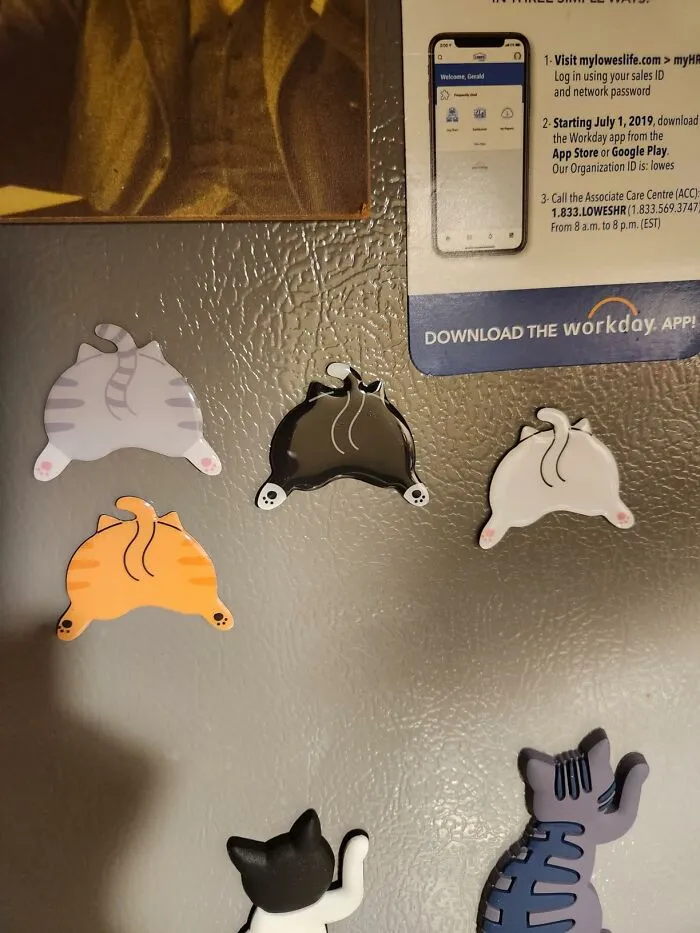 Cat magnets on a fridge, shaped like playful feline figures, adding fun to work supplies.