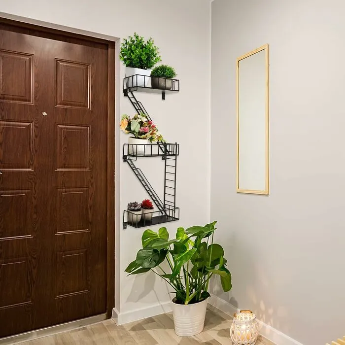 Let Your Plants Live Their West Side Story Fantasy, Chilling On The Coolest Balcony Substitute Imaginable, A <a Style="Display:inline;" Href="Https://Www.amazon.com/Zonon-Wall-Bookshelf-Organizer-Floating/Dp/B0bx1mxd67?crid=2m4hogvclhj18&dib=eyj2ijoimsj9.7zn44illavd0puslfn0ywvwgm_nh6mck5rzpofvawohslcmmq6u6oezqqdlyhtawy7diniuxvajctnz6mxtpusub2wemgmghdhg5bkwzhk8wlrbq7jocm3oxei_kx2fadh_lbum0nrdm3hv3svjmw7tqp4qoej3-Ct1j8nvperazmecpcn1cune4frptti0qrihj8thrpidcgaabwjdv8pf_sucqjzlocxvybfb6zckky7owculbpxgqioilbokqy1osgqwymi-2dtukk4csibebg9r2npp-0wfpspewlqg.krqebv9zg-Tew5droweuyrn4saw31vi0peec_eq79y8&dib_tag=se&keywords=cool%2bdecor&qid=1744360979&sprefix=cool%2bdeco%2caps%2c220&sr=8-45&th=1&linkcode=ll1&tag=bpbeaver-20&linkid=d223f62d2739f2225fe0cb881ac80c7e&language=en_us&ref_=as_li_ss_tl" Target="_blank"><span Style="Font: Inherit; Color: #d74b1f;"> Fire Escape Shelf </Span>