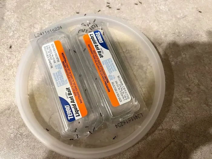 When Ants Think They Can Just March Into Your Home And Steal Your Snacks, The <a Style="Display:inline;" Href="Https://Www.amazon.com/Terro-T300b-2-Pack-Liquid-Baits/Dp/B00e4gacb8?ie=utf8&th=1&linkcode=ll1&tag=bpwoodpecker-20&linkid=82e7fcc6f911f597dcb5a20da7aea124&language=en_us&ref_=as_li_ss_tl" Target="_blank"><span Style="Font: Inherit; Color: #d74b1f;"> Indoor Ant Killer </Span>  Is The Ultimate Eviction Notice