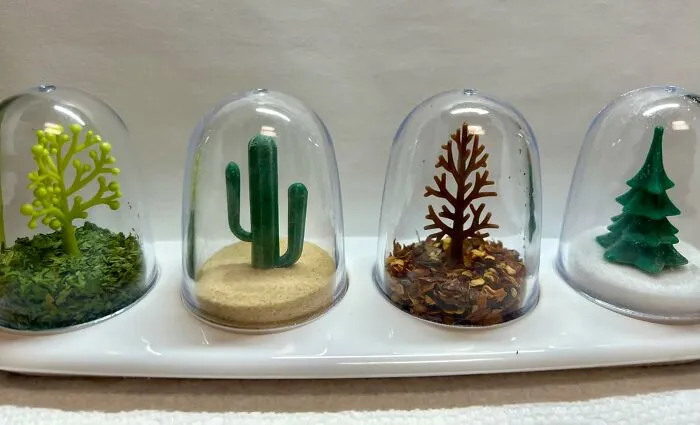 Even Your Salt And Pepper Are Living Their Best Cottagecore Life In These <a Style="Display:inline;" Href="Https://Www.amazon.com/Kitchen-Seasoning-Shaker-Seasons-Design/Dp/B07fldtr6s?ie=utf8&th=1&linkcode=ll1&tag=bpmoose-20&linkid=8703c910fa76a8bbeff5a63b0378b0dc&language=en_us&ref_=as_li_ss_tl" Target="_blank"><span Style="Font: Inherit; Color: #d74b1f;"> Cute Seasoning Jars </Span> Serving Up Four Seasons Of Tiny Terrarium Vibes At Every Meal