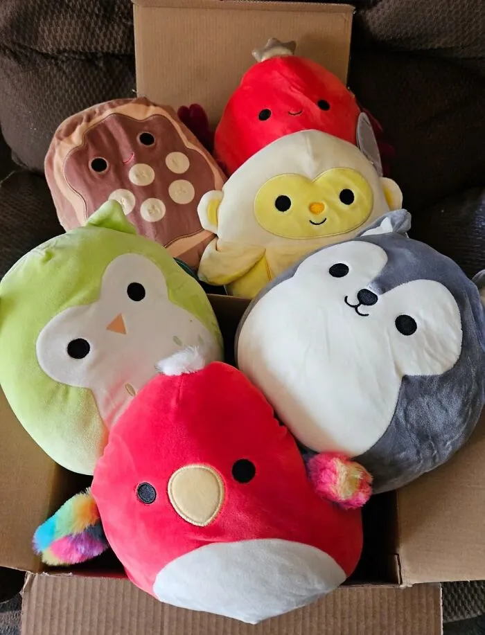 First Came Beanie Babies, Now <a Style="Display:inline;" Href="Https://Www.amazon.com/Squishmallow-Kellytoy-Plush-Mystery-Three/Dp/B08cgch5q2?ie=utf8&linkcode=ll1&tag=bpgrape-20&linkid=6d1ece361517fd3f847f8945c308807e&language=en_us&ref_=as_li_ss_tl" Target="_blank"><span Style="Font: Inherit; Color: #d74b1f;"> Squishmallows </Span>  Are The New Millennial Coping Mechanism