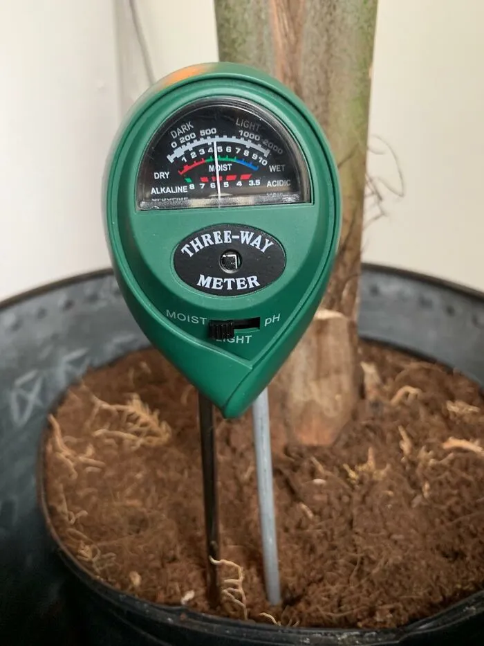 Figure Out If Your Soil Is Being Thirsty, Shady, Or Just Generally Difficult With <a Style="Display:inline;" Href="Https://Www.amazon.com/Ipower-Moisture-Garden-Gardening-Outdoor/Dp/B075lry5m7?ie=utf8&th=1&linkcode=ll1&tag=bppenguin-20&linkid=87aee7e1af0da10905a43a6ed500b7cc&language=en_us&ref_=as_li_ss_tl" Target="_blank"><span Style="Font: Inherit; Color: #d74b1f;"> A Super Simple 3-In-1 Soil Test Kit </Span> So You Can Stop Pretending Vibes Are A Valid Way To Diagnose Plant Problems