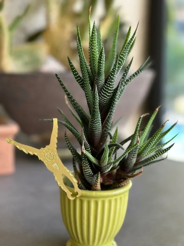 Add A Totally Unnecessary But Extremely Delightful Level Of Fancy To Their Greenery Gang With Some <a Style="Display:inline;" Href="Https://Www.amazon.com/Rainteam-Ornaments-Gardeners-Decorations-Accessories/Dp/B0ct33kqss?ie=utf8&linkcode=ll1&tag=bpferret-20&linkid=7eeb47960ac9aff7a33d67e88da7e17e&language=en_us&ref_=as_li_ss_tl" Target="_blank"><span Style="Font: Inherit; Color: #d74b1f;"> Cute Brass Animals For Plants </Span>