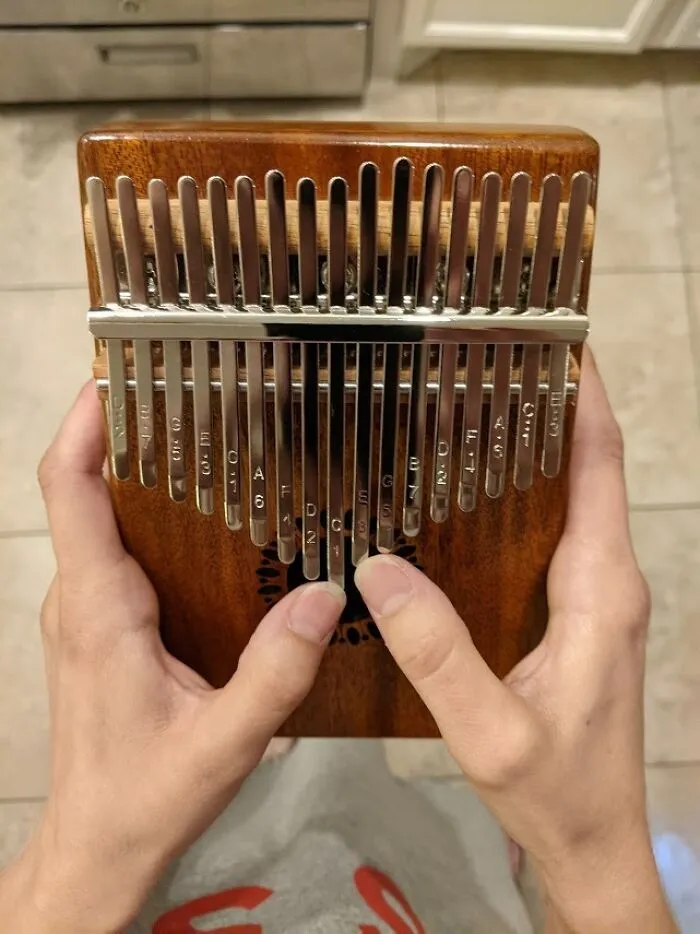 Give Your Thumbs Something More Interesting To Do Than Just Scrolling Endless Feeds With This Adorable <a Style="Display:inline;" Href="Https://Www.amazon.com/Kalimba-Portable-Finger-Adults-Beginners/Dp/B07q38fwfj?ie=utf8&th=1&linkcode=ll1&tag=bphamster-20&linkid=dbf7d7a400a3b58ca83ef71f29c2cff5&language=en_us&ref_=as_li_ss_tl" Target="_blank"><span Style="Font: Inherit; Color: #d74b1f;"> Kalimba Thumb Piano </Span>