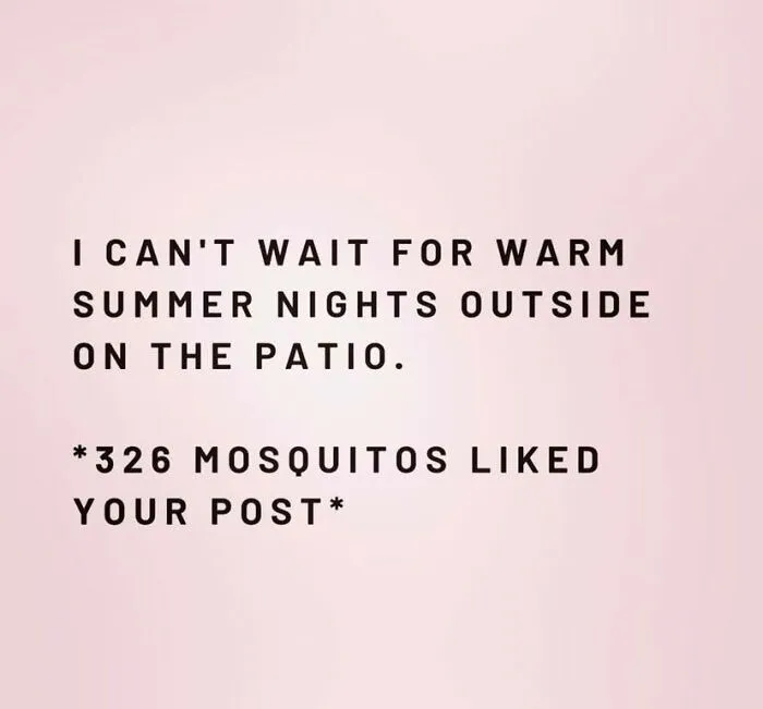 50 Random Memes That Might Make The Day Feel A Bit Lighter