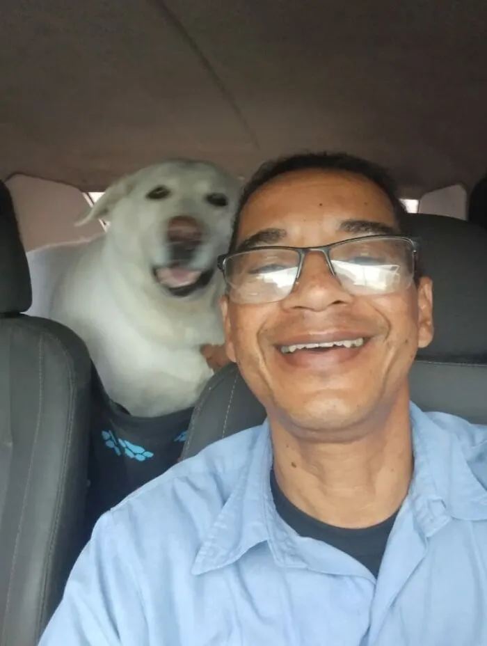 33 Times This “Pet Taxi” Driver Has Taken Cute Selfies With His Furry Customers (New Pics)