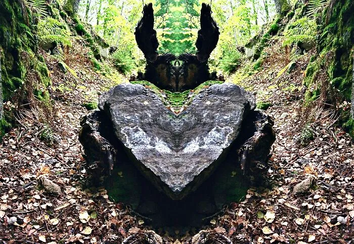 My 36 Photos Of Nature That I Took While Taking A Walk
