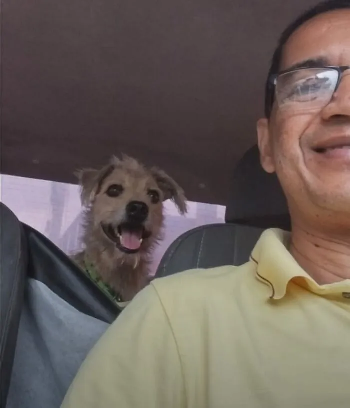 33 Times This “Pet Taxi” Driver Has Taken Cute Selfies With His Furry Customers (New Pics)