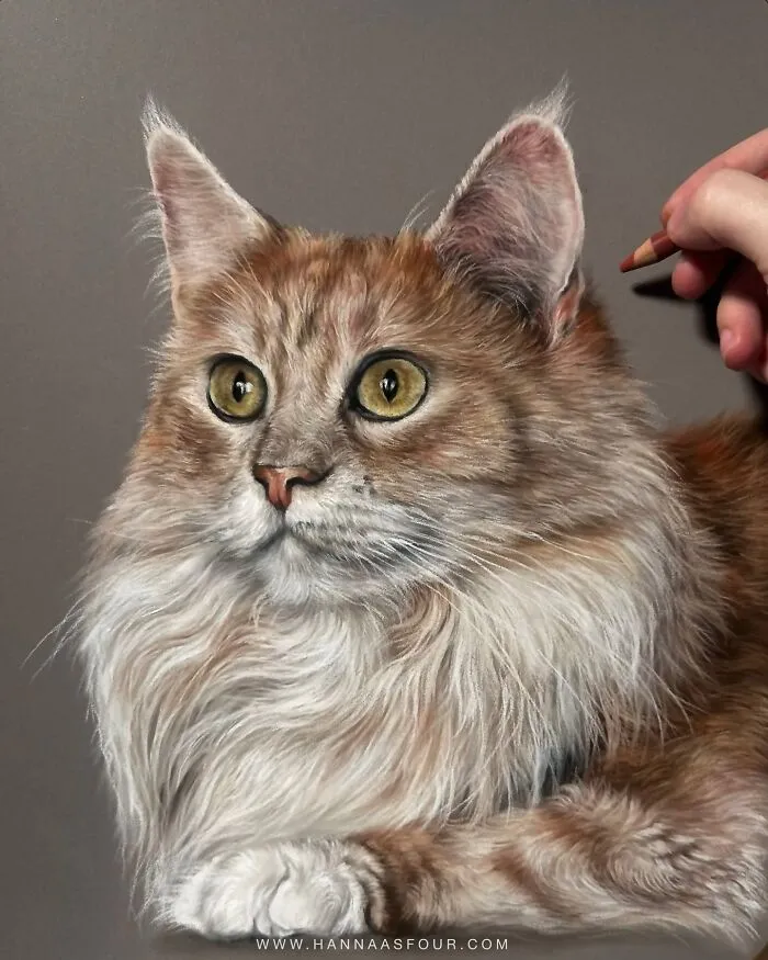 Hyperrealistic Pencil Drawings: 40 Animal Portraits Done By The Talented Hanna Asfour