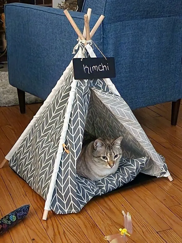 Your Cat Can Finally Live Out Their Coachella Dreams (Minus The Crowds And Questionable Music) Inside A Cozy <a Style="Display:inline;" Href="Https://Www.amazon.com/Geerduo-Teepee-Portable-Washable-Cushion/Dp/B092mh3nkd?ie=utf8&th=1&linkcode=ll1&tag=bpgazelle-20&linkid=de2315696a85e1ab9b7f342063bd8e8e&language=en_us&ref_=as_li_ss_tl" Target="_blank"><span Style="Font: Inherit; Color: #d74b1f;"> Cat Teepee </Span