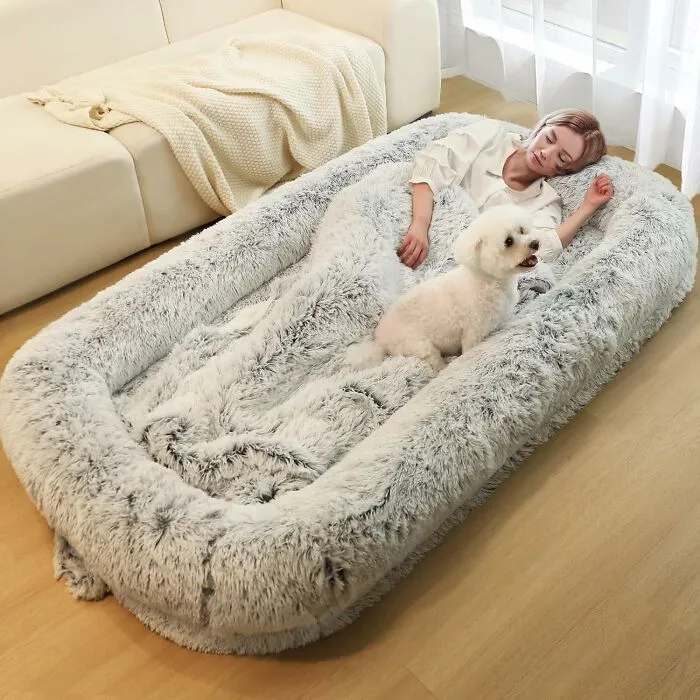 When Your Pup Keeps Hogging The Couch And You Finally Snap And Buy A <a Style="Display:inline;" Href="Https://Www.amazon.com/Murago-Adults-Washable-Waterproof-Orthopedic/Dp/B0d4dd2vzv?crid=35xykp02nw1wv&dib=eyj2ijoimsj9.x7zuth5zjpq-6n5iait3nuc0b_ldnultg1jmruqalwpetfgvcqe7yquipwopjvafyutw-Wlvmtecqiz4tkmfx3l6ew4svg8k2exkoafytxkgm3ntnt6x6x1g1vpmhflbpdie-6hipdvvp4sl0vcab_f6hwpyj5ymwpt8uzshauwg1mzyxa3xswbplvnh1romhxjsjnj4zuy3lnmnmmglkvo_euqmgasrtxvn2qhpqeucbbkicbkibzg4whofwl8xt9nh6cps9d-Mclgyid52oppk3wx-Kbl_nkxcqgk6hru.rdoir4vhc37f_nfw4svzlvxtgignjpm95zfobyfwa5g&dib_tag=se&keywords=human%2bdog%2bbed&qid=1744361521&sprefix=human%2bdog%2bbe%2caps%2c261&sr=8-1-Spons&sp_csd=d2lkz2v0tmftzt1zcf9hdgy&th=1&linkcode=ll1&tag=bpmoose-20&linkid=58c2dd37bd7f8baf4e8cdbcc9750c10f&language=en_us&ref_=as_li_ss_tl" Target="_blank"><span Style="Font: Inherit; Color: #d74b1f;"> Human Dog Bed </Span>