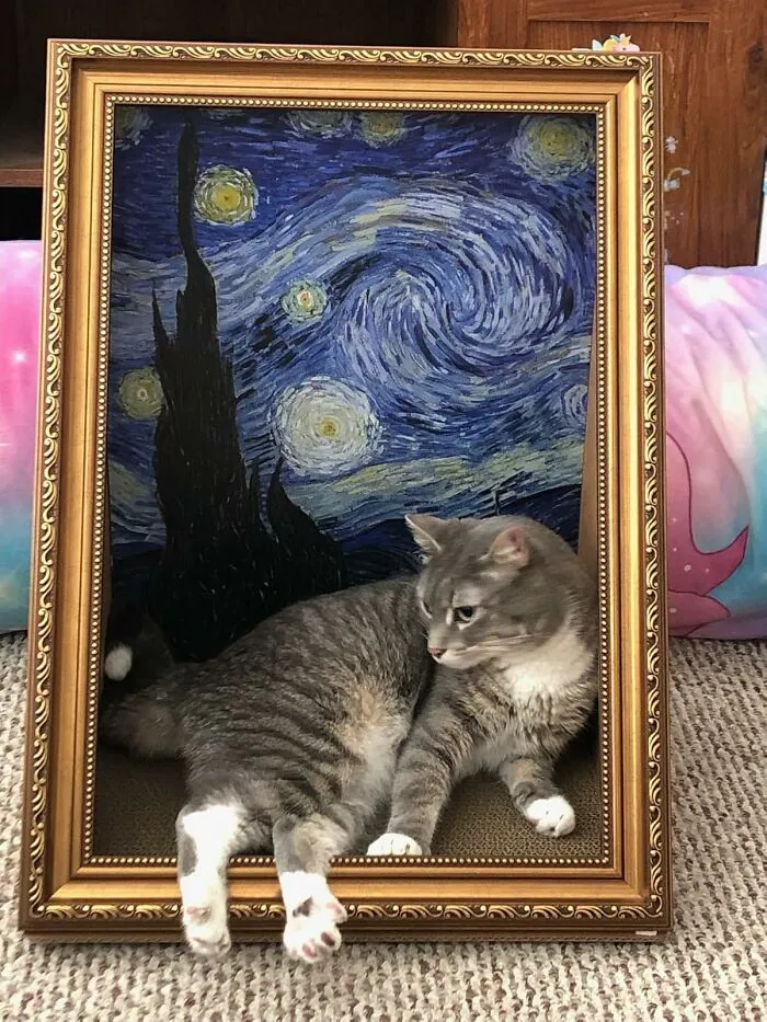 Because Your Feline Overlord Deserves Only The Finest, Most Regal Of Sleeping Arrangements, The <a Style="Display:inline;" Href="Https://Www.amazon.com/Cat-Living-Famous-Painting-Assemble/Dp/B0ds6bwp6x?ie=utf8&th=1&linkcode=ll1&tag=bplion-20&linkid=0917cfb06d02345c56f0584b654e6cbd&language=en_us&ref_=as_li_ss_tl" Target="_blank"><span Style="Font: Inherit; Color: #d74b1f;"> Renaissance Cat Bed </Span> Is Here To Provide A Throne-Worthy Snoozing Spot For Your Discerning Cat