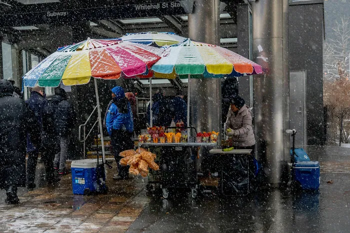 Street Food: Tropical Fruits In Snowstorm By Ellen Speiser, United States