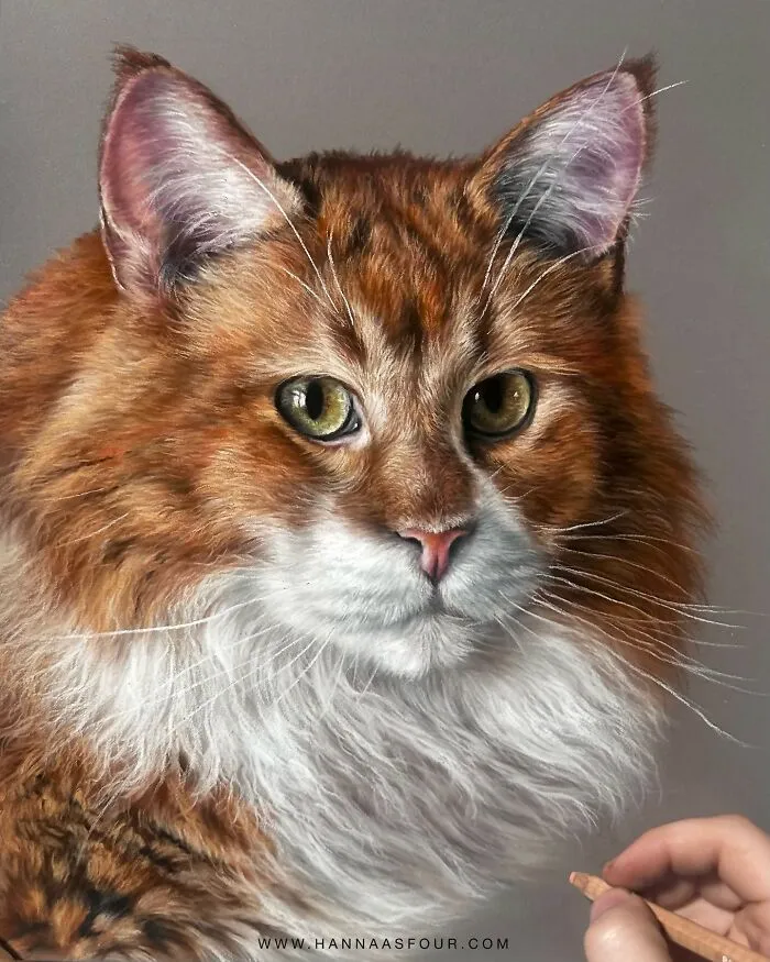 Hyperrealistic Pencil Drawings: 40 Animal Portraits Done By The Talented Hanna Asfour
