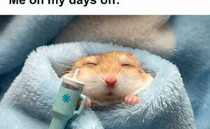 50 Funny Memes That Feel Like Putting On Lip Gloss While Plotting Revenge (New Pics)